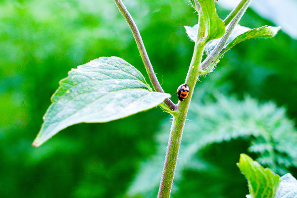 bedrijfsruimte werkruimte kantoor leidsebaan2 werkpark groenoord leiden kwaliteit duurzaamheid